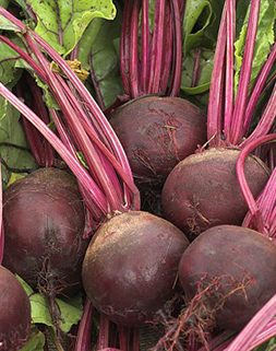 SuperFood: Beetroot 